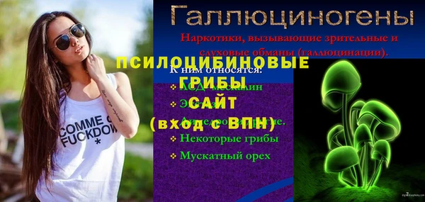 индика Белоозёрский